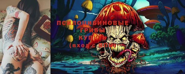 ECSTASY Алзамай