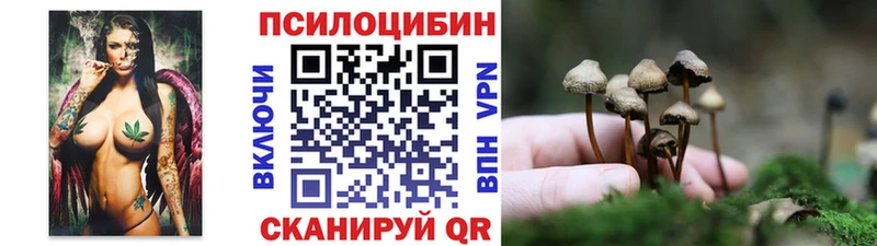 где можно купить наркотик  Пенза  Галлюциногенные грибы Magic Shrooms 