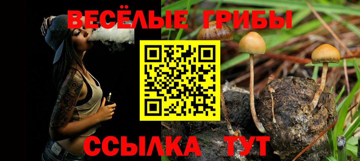Псилоцибиновые грибы MAGIC MUSHROOMS Пенза