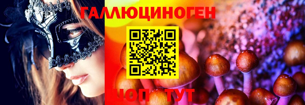 Пенза  Галлюциногенные грибы Cubensis  Вход с VPN 