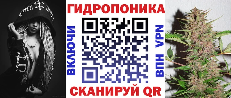Конопля OG Kush  Пенза 